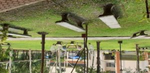A picture of a park with trees and benches